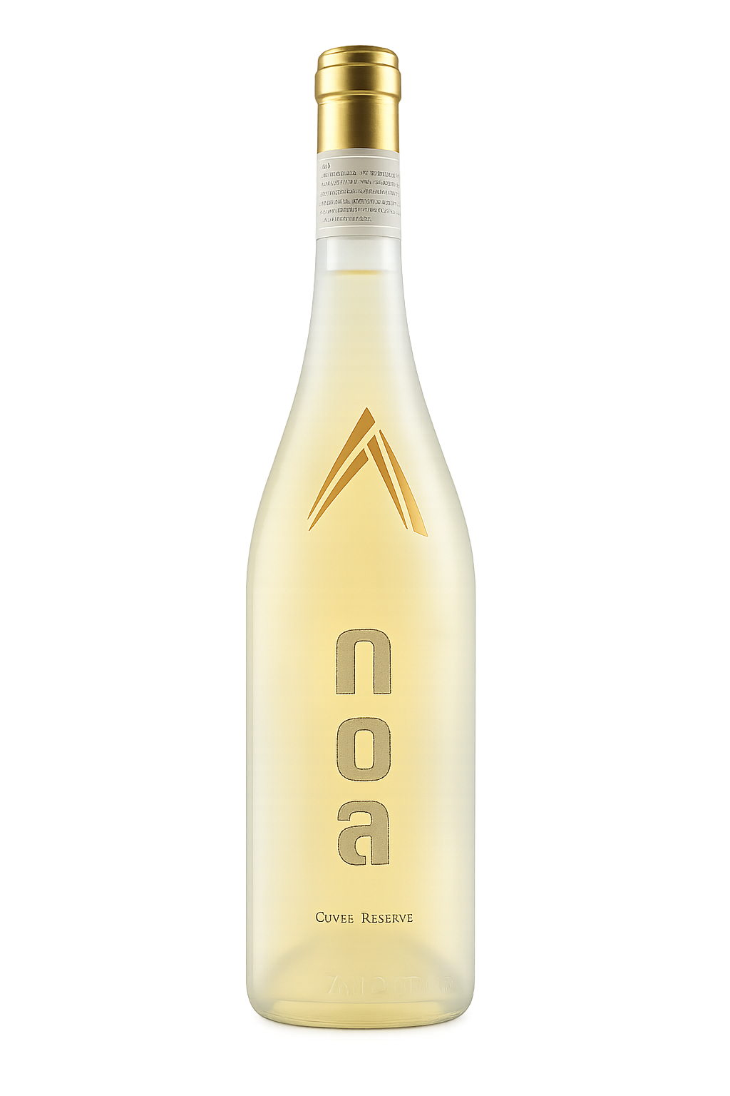 Noa White
